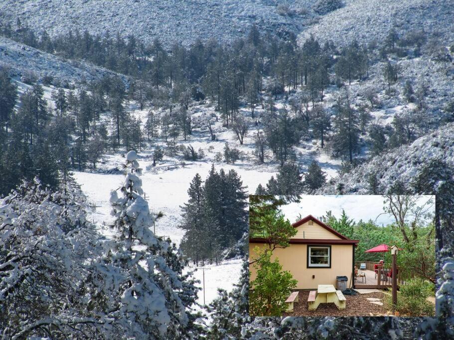 Historical Cabin In Julian Pet'S Okay! Esterno foto